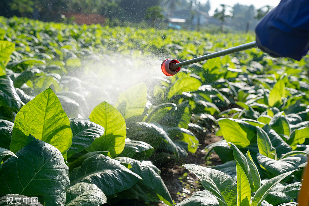 Stake(中国区)官方网站